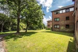 Photo 3- click for photo gallery